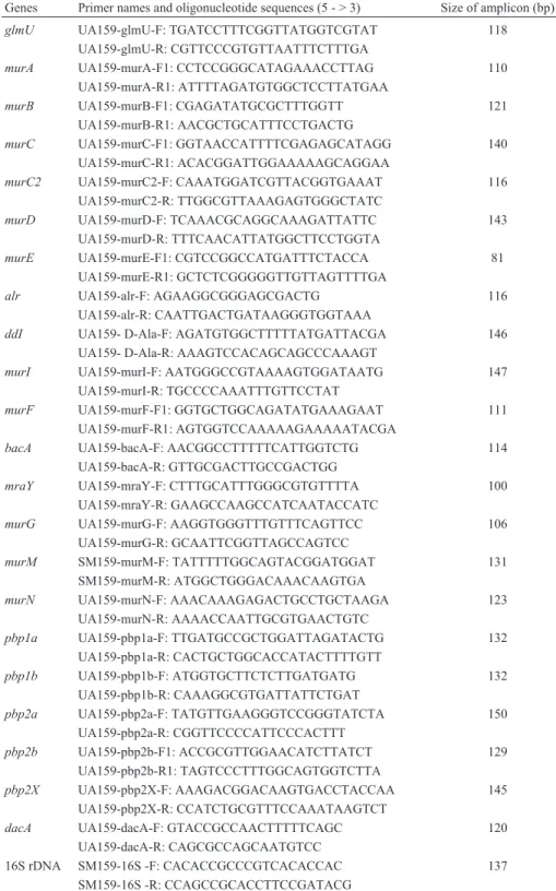 Table 1 - Quantitative real-time polymerase chain reaction (qPCR) primers used in this study.