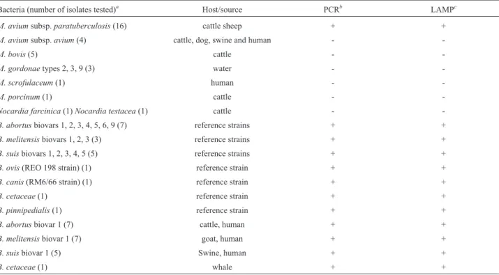 Table 2 - LAMP performance and specificity evaluated using cell lysate samples from cultures of different bacteria.