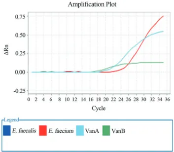Figure 1 - Standard linear amplification plot for vanA &amp; vanB positive.