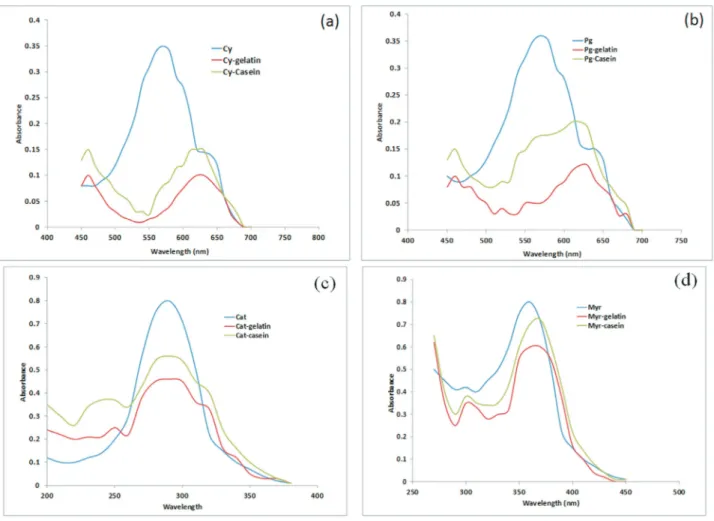 Figure 2 - UV Spectra of flvonoid-gelation and flavonoid-casein complexes (a) pure cyanidin (Cy) and complexes (b) pure pelargonidin (Pg) and com- com-plexes (c) pure catechin (Cat) and complexe (d) pure myrecetin (Myr) and comcom-plexes.