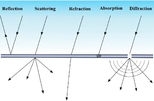 Figure 1.2. The different pathways resulting from the interaction of light with matter
