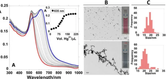 Figure 1.9. Aggregation response of AuNPs functionalized with thiol terminated fluorescein derivative  in presence of mercury ions in solution