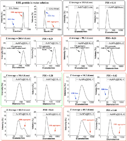 Figure 2.2. Size distribution measured by Dynamic Light Scattering. Distribution by %Intensity and 
