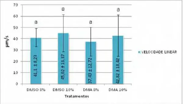 Figura 8  –   Velocidade Linear espermática de Pseudoplatystoma corruscans pós- pós-descongelamento