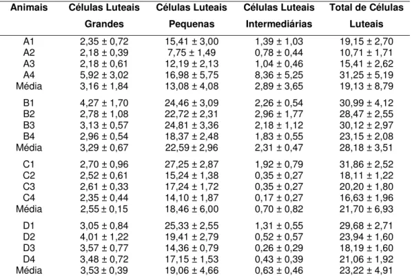Tabela 1 – Valores Médios e desvio padrão do número de células  luteais/10 4 µµµ µm 2  em corpos lúteos de fêmeas zebuínas e taurinas no início  (3 – 5 dias) e no final do ciclo estral (16 – 18 dias)
