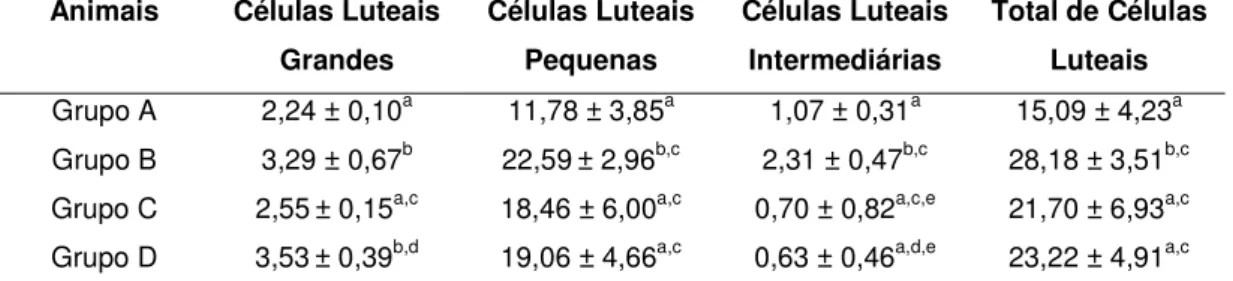 Tabela 2 – Valores médios e desvio padrão de células luteais/10 4 µ µ µ µm 2  em  corpo lúteos de fêmeas zebuínas e taurinas no início (3 – 5 dias) e no final  do ciclo estral (16 – 18 dias)