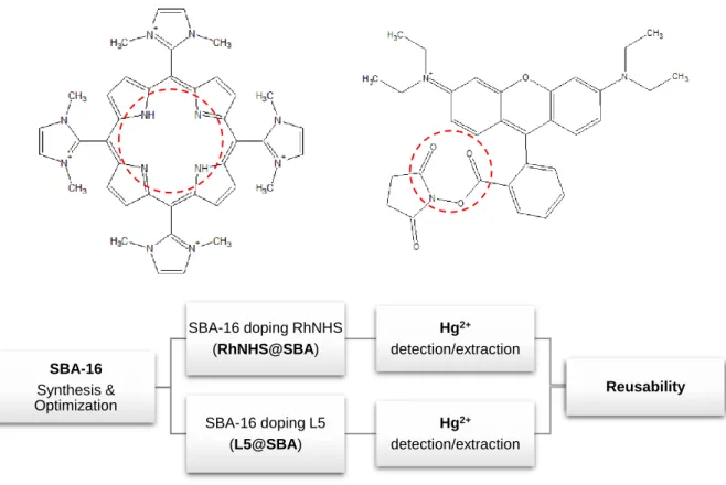Figure 2.3 | Brief schematics of the here in proposed device, from its synthesis to doping  - with L5 porphyrin  (upper left) and RhNHS (upper right) - and application