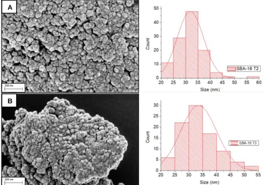 Figure 3.4 | SEM images and particle size distributions of both (A) SBA-16 T2 and (B) SBA-16 T3 samples
