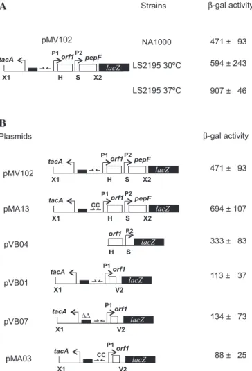 Table 1. Assays for endopeptidase activity of the wild type strain NA1000 and the mutant strain SP2008.