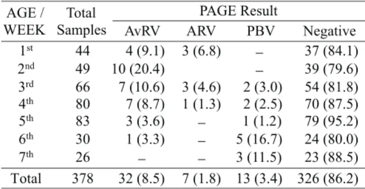 Table 2. Frequency of rotavirus (AvRV) reovirus (ARV) and picobirnavirus (PBV) detected by polyacrylamide gel electrophoresis in broiler chicken feces samples, distributed according to feces consistency, Londrina, PR, Brazil, 1997-1999.