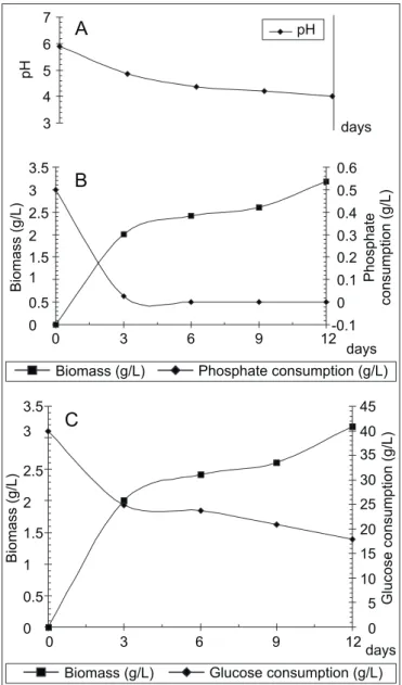 Figure 1. Profile of Cunninghamella elegans grown in SMM1 medium. pH (A), biomass and orthophosphate consumption (B) and biomass and glucose consumption (C).