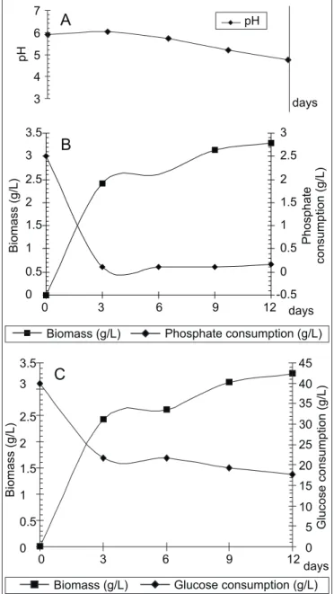 Figure 3. Profile of Cunninghamella elegans grown in SMM3 medium. pH (A), biomass and glucose consumption (B).