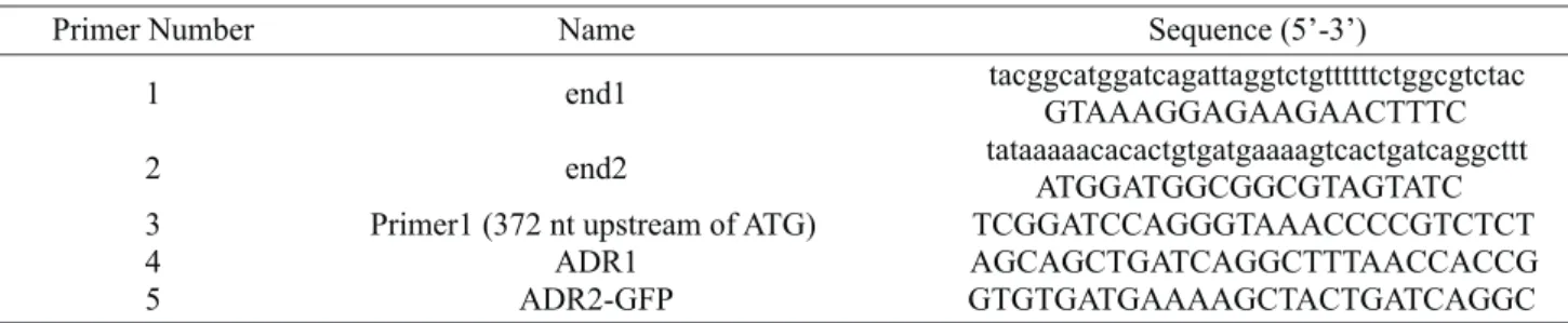 Figure 1. Scheme of the construction of ASP3-GFP fusion. (1) The PCR product was used to transform wt and ure2 strains (2) and integrated in the yeast genome by homologous recombination (3), resulting in the strains harboring the chimeric gene expressing t