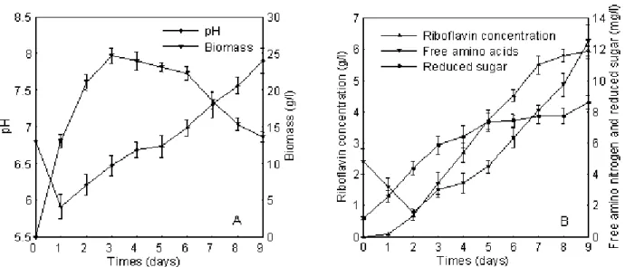 Figure 4. Dynamic analysis of riboflavin production and metabolic parameters of the fermentation process