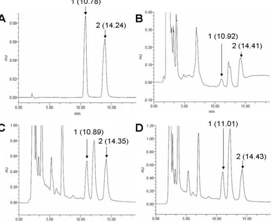 Figure 4. Chromatograms (HPLC) of water solution extracted from C. cicadae MP12. A: Standard adenosine (80 μg/ml) and  cordycepin (100 μg/ml); B: water extract of dried mycelium; C: water extract of the harvested fruiting body of C