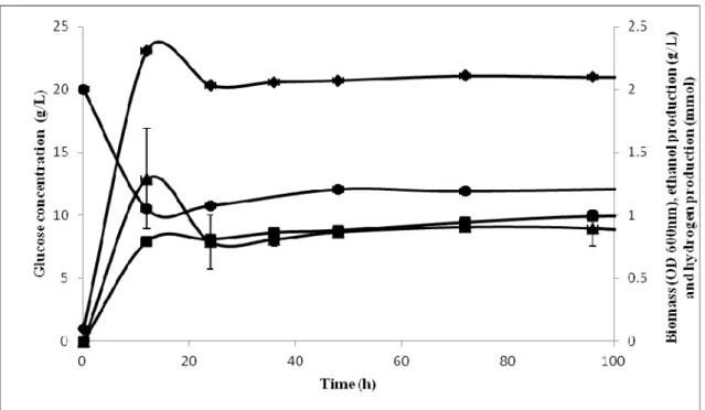 Figure 1. Ethanol and hydrogen production profile by Escherichia coli SS1 using glucose as substrate: ethanol (■), glucose (●),  biomass OD ( ♦ ) and hydrogen ( ▲ ) 