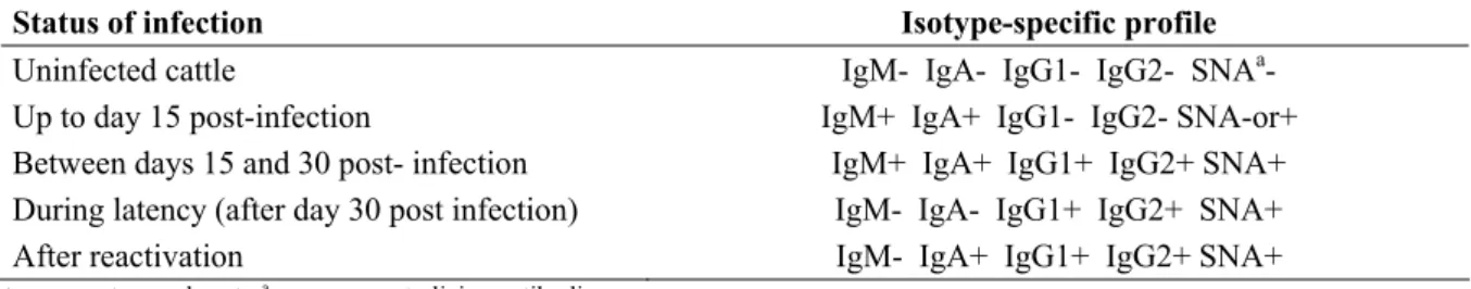 Table 1. Estimate of the status of infection with basis on the patterns of isotype and subclass specific anti-bovine herpesvirus 1.1  (BHV-1.1) or 1.2a (BHV-1.2a) antibodies