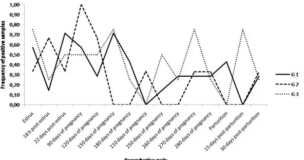 Figure 1. Distribution of B19 strain excretion in urine detected by PCR during a reproductive cycle (estrus, pregnancy and  parturition) of cows vaccinated against brucellosis from 3 to 8 month age