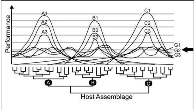 Figure  3  – Patterns  of  performance  predicted  by  the  Integrative Hypothesis  of Parasite  Specialization,  in  which  resource  breadth  processes  are  stronger  within  each  cluster  of  biologically  close  hosts  and  trade-offs  are  stronger 