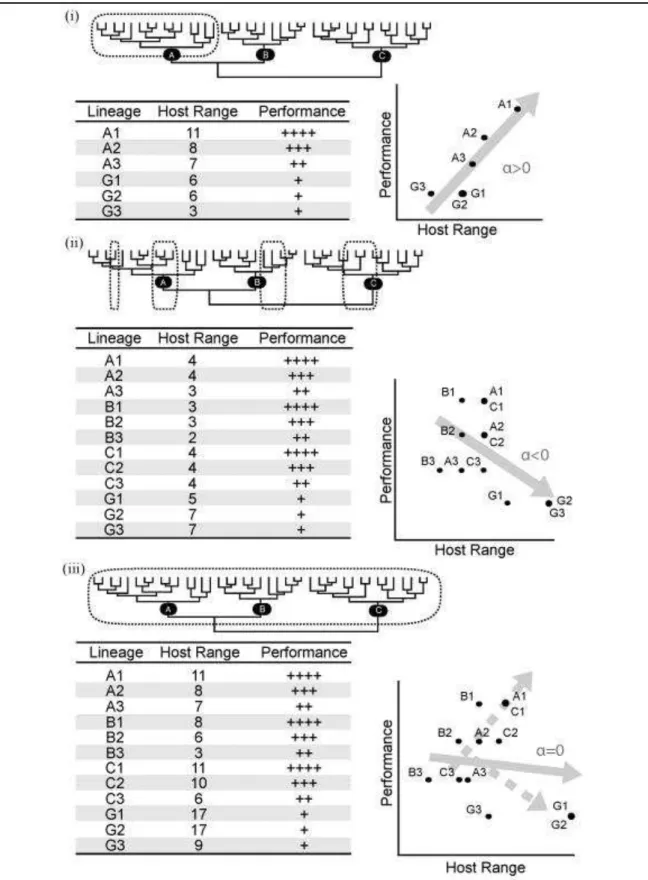 Figure  4  –  Effect  of  sampling  on  the  detection  of  different  relationships  between  performance and host range in a host-parasite system