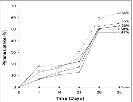 Figure 2. Pyrene (50 µg ml -1 ) uptake by bacterial  isolates PK-12 (- - □ - -), PK-13 (- -  - -), PK-14  (- -- -), PK-15 (……) and PK-16 (      ), from  CON-3 consortium, in presence of 0.5 % (w/v)  glucose at 30  o C over a time course of 35 days