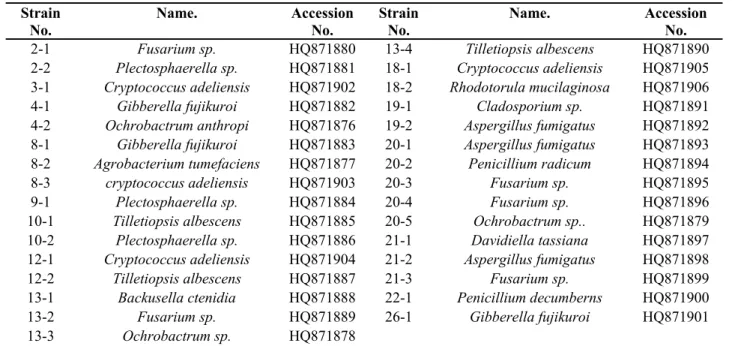 Table 4. The identification of the 31 oleaginous microorganisms  Strain   No.  Name. Accession No