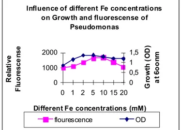 Figure 3. Influence of different concentrations of FeCl 3  on  growth and Fluorescence of P.fluorescence