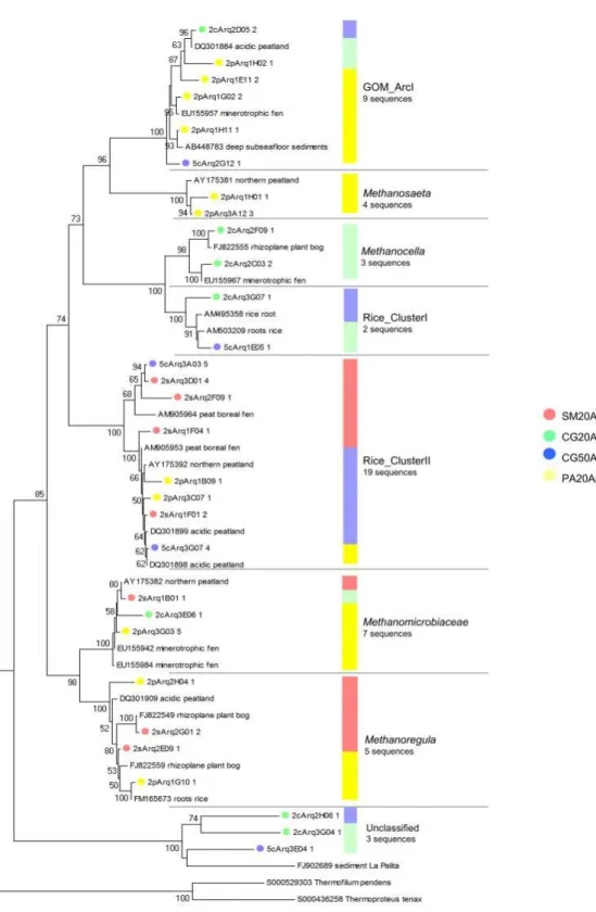 Figure 3. Phylogenetic relationships among methanogenics OTUs and their areas of origin
