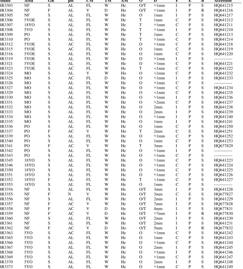 Table 1. The origin, cultural and morphological characteristics and access number in the Gene bank of the Amazon isolates analyzed by  ARDRA and/or 16S rRNA