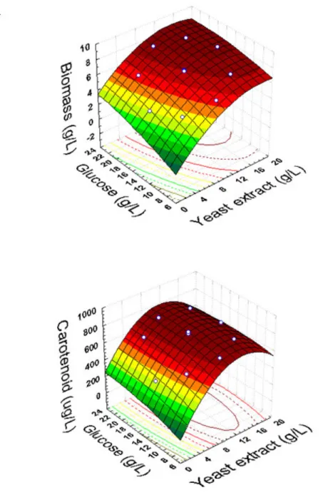 Figure  1. Response surface diagrams as a  function of  yeast extract and glucose concentrations: (A): biomass production (g l -1 ); 