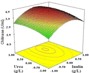 Figure  2.  3D  response  surface  curve  for  effects  of  Inulin,  Urea  and  their  mutual  interaction  on  chitinase  production  by  SYBC-H1