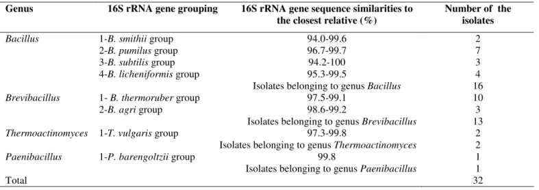 Table 2. The species groups of the genus Bacillus and Bacillus-related isolates, the intragenic sequence similarity values and the  number of the bacteria belonging to these groups derived from 16S rRNA gene nucleotide sequence 
