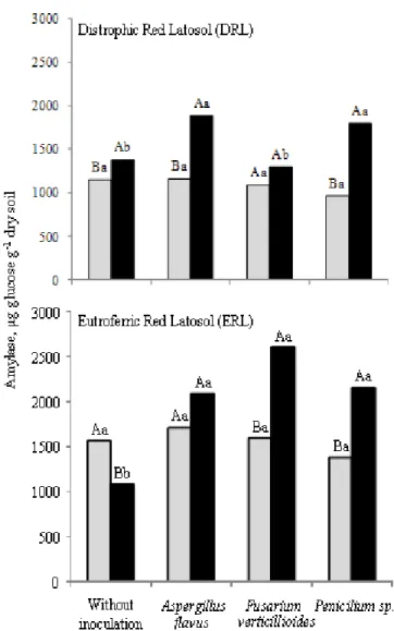 Figure  5.  Amylase  activity  found  in  the  soils  after  fungi  inoculation. Column with the same capital letter (compare with  and  without  glucose)  and  lower  (comparison  of  fungi)  do  not  differ by Tukey test at 5%; (    ) with and (    ) wit
