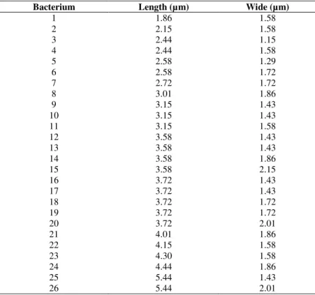 Table 1. Automatic measurements from cells of binarized exemple of Figure 4 (C). 