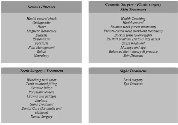Figura 3: Tipo de serviços relacionados com o segmento médico 