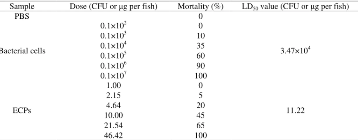 Table 3. Virulence test of bacterial cells of representative strain PY50 injected into Chinese longsnout catfish during two weeks  observations 