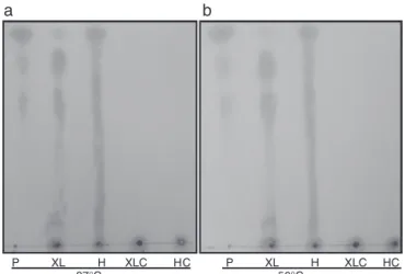 Fig. 7 – Analysis of thin layer chromatography. TLC of the hydrolysis of T. lanuginosus ␤-xylosidase products obtained after 12 h of incubation with xylan from beechwood (1%, w/v) and hemicellulose from corn straw (1%, w/v) at 37 ◦ C (A) and 50 ◦ C (B)