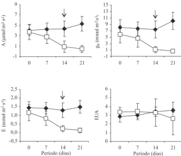 Figura 1. Fotossíntese líquida (A), condutância estomática  (gs),  transpiração  (E)  e  e! ciência  no  uso  da  água  (EUA)  de plantas jovens de Carapa guianensis irrigadas (') e não  irrigadas  (*)