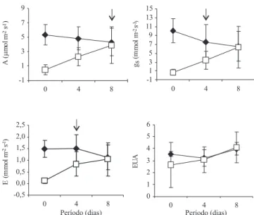 Figura 3. Fotossíntese líquida (A), condutância estomática  (gs),  transpiração  (E)  e  e! ciência  no  uso  da  água  (EUA)  de  plantas  jovens  de  Carapa  guianensis  irrigadas  (#)  e  não  irrigadas  submetidas  a  reidratação  ($)