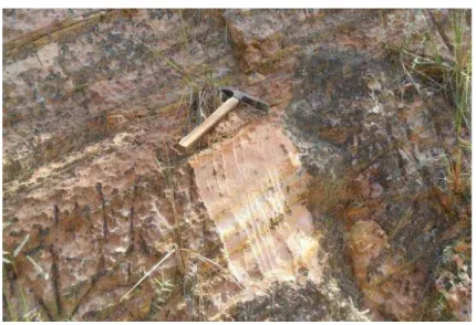 Figura 4 – Foto de afloramento da Formação Pirambóia 