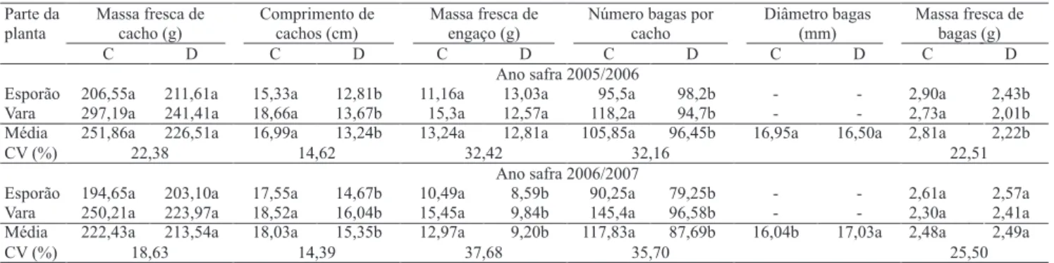 Tabela 3. Características de cachos de videiras (Vitis vinifera) da cultivar Moscato Giallo, conduzida em “Y” com (C) e sem  (D) cobertura de plástico, nos anos safras 2005/2006 e 2006/2007, em Flores da Cunha, RS (1) .