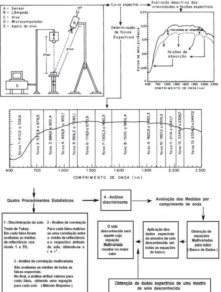 Figura 1. Fluxograma ilustrativo da obtenção e avaliação dos dados espectrais.,,,,,