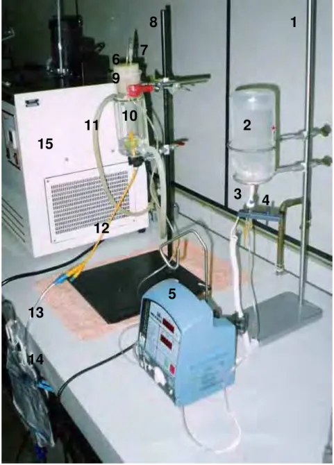 Figura 5: Foto representativa do modelo da bexiga cateterizada: (1) suporte e garra metálica para  prender o frasco de soro, (2) frasco de soro, (3) equipo para a bomba de infusão, (4) detector de  gotas (5) bomba de infusão peristáltica, (6) tubo de vidro