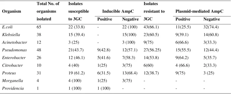 Table 1.  Prevalence and distribution of AmpC producing Gram negative clinical isolates
