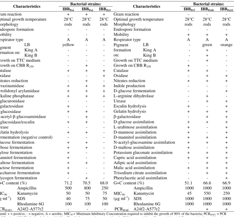 Table 1. Phenotypic characteristics of Gram-positive and Gram-negative bacterial strains  