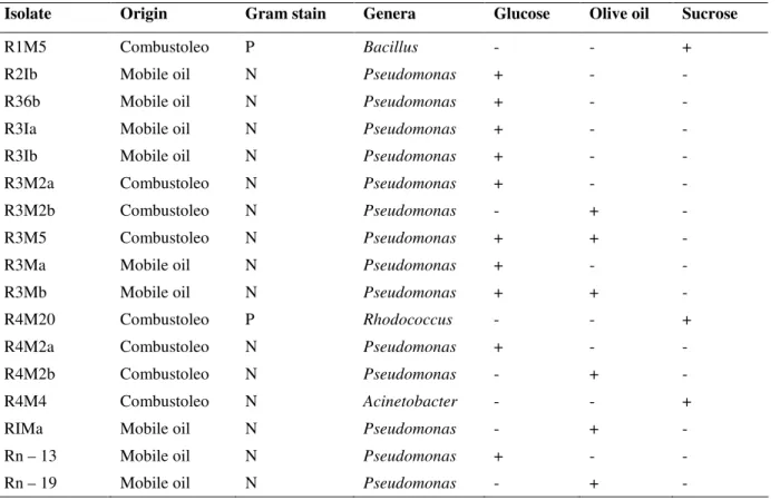 Table 1. Biosurfactant production and preliminary identification of isolates growing in glucose, sucrose and olive oil as the carbon  source (Gram stain: P, Gram-positive; N, Gram-negative