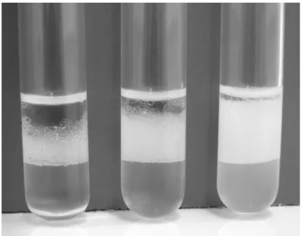 Figure  4.  EI 24   values  obtained  from  biosurfactant  solutions  with  concentrations  twice  below  the  CMC,  equal  to  the  CMC  and  twice above the CMC, from the left to right respectively