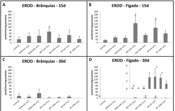 Figura 12. Atividade da EROD em brânquias (A e C) e em fígado (B e D) de cascudos expostos  aos contaminantes por 15 e 30 dias respectivamente