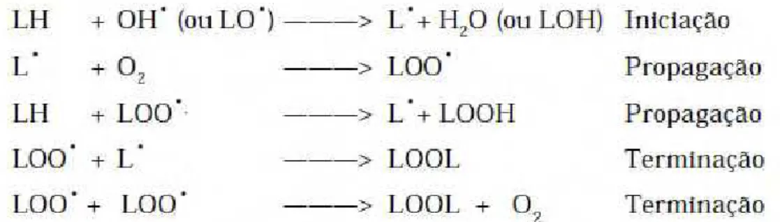 Figura 4: Processo deperoxidação lipídica (Adaptado de MOSIALOU, 1993). A abstração de átomos de  hidrogênio de um ácido graxo poliinsaturado leva à formação de um radical lipídico