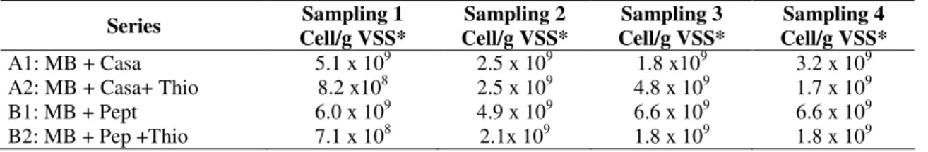 Table 1. MPN of peptidolytic populations of flocculent sludge (Reactor 1). 